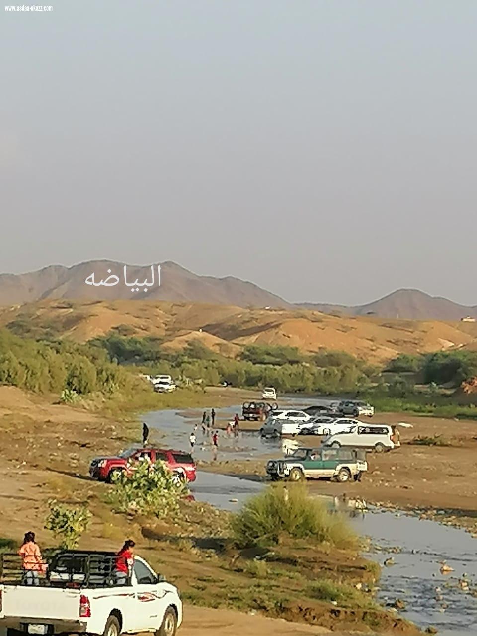 ناوان للطبيعه عنوان