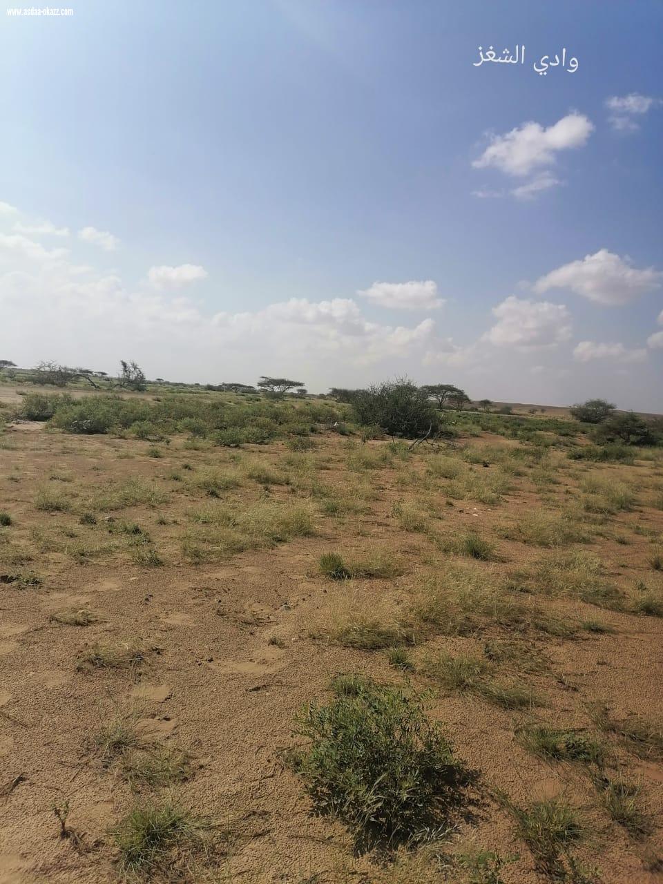 ناوان للطبيعه عنوان