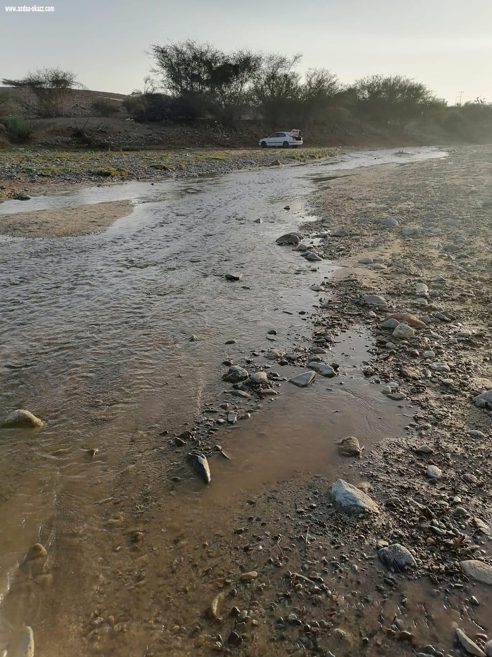 ناوان للطبيعه عنوان