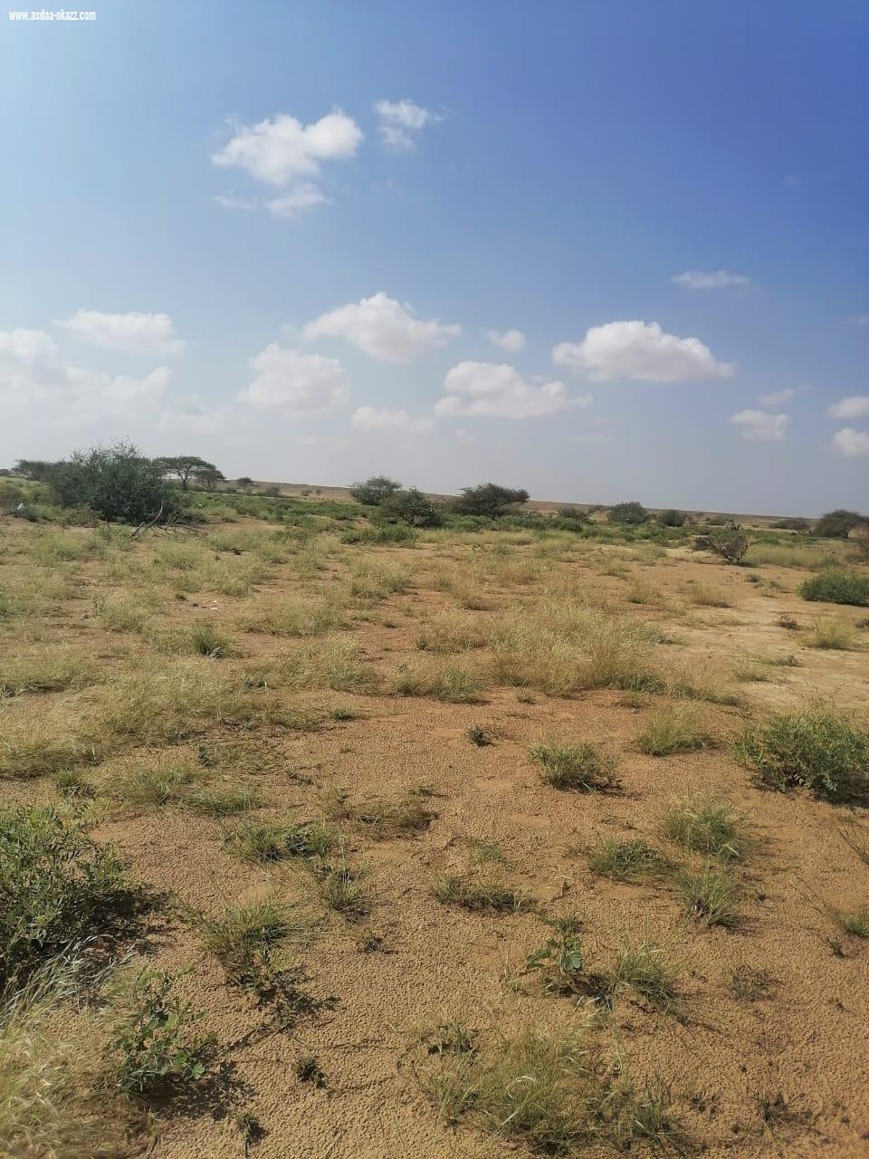 ناوان للطبيعه عنوان