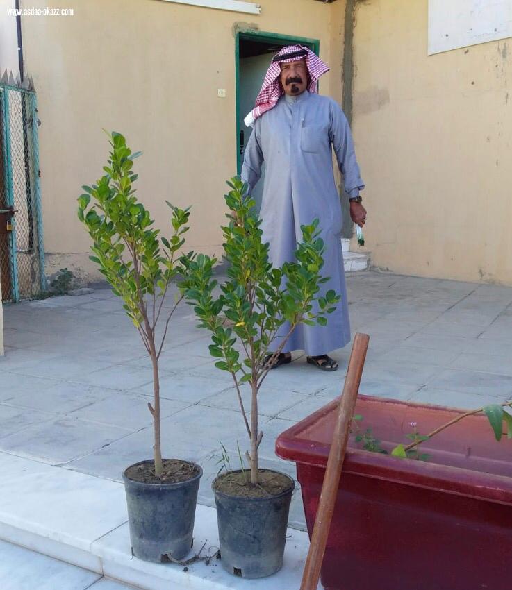 بلدية حجر تختتم مبادرة شجرة عند كل منزل 