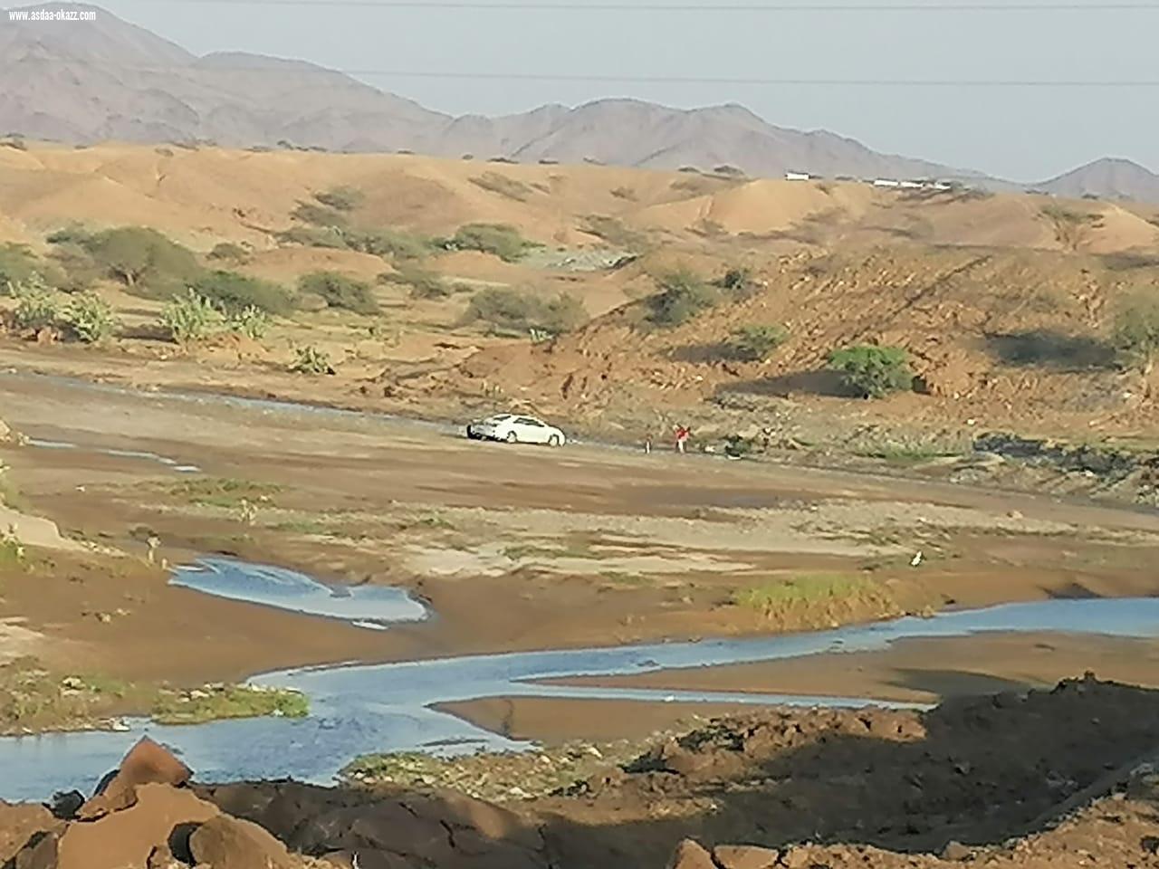 ناوان للطبيعه عنوان