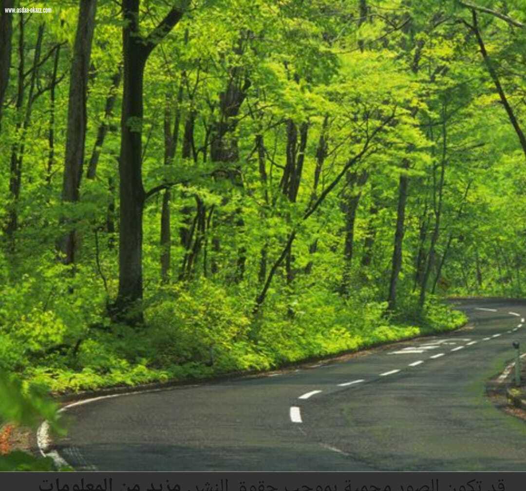 حين يقلّ ؛ يصفو .