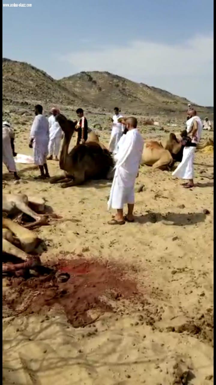 فك لغز فيديو العامل الذي ينحر مجموعة ابل