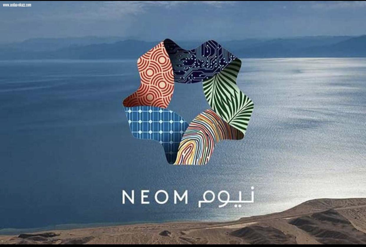 نيوم تعلن اكتشاف كائنات بحرية عملاقة ونادرة وجزر جديدة في شمال البحر الأحمر