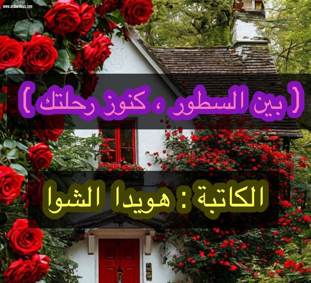 بين السطور ، كنوز رحلتك 