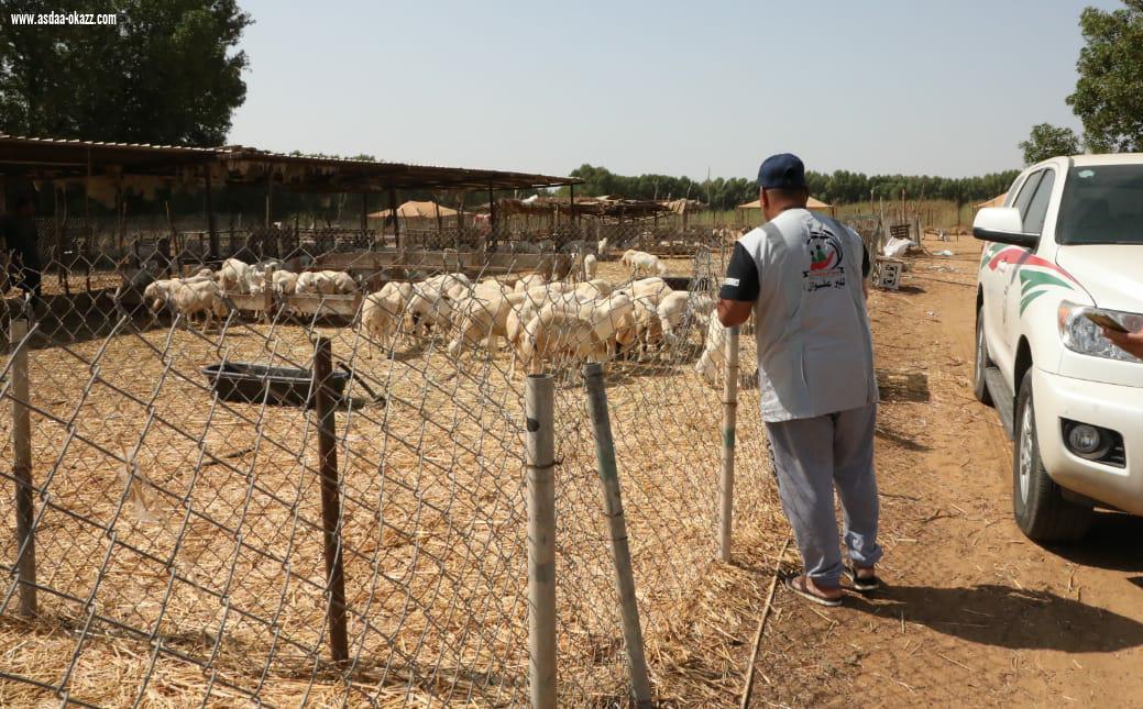 جمعية البر بجازان توزع اكثر من 70 ذبيحة بلدي استفاد منها أكثر من 300 أسرة و 1000بطانية على المستفيدين الأكثر إحتياجاً